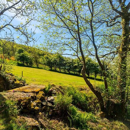 Hole House Farm Ξενοδοχείο Millom Εξωτερικό φωτογραφία